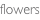 shapeimage_8_link_0