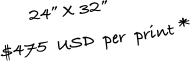        24” X 32”
$475  USD  per  print *