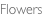 shapeimage_6_link_0