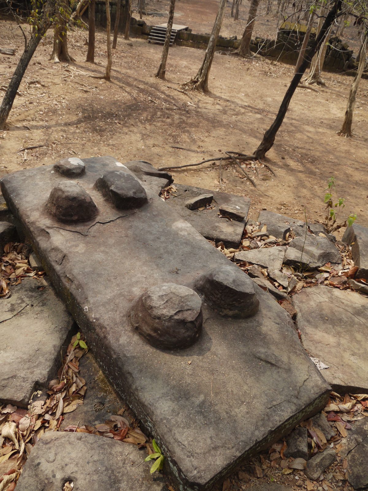 Carved stone slab among temple ruins
