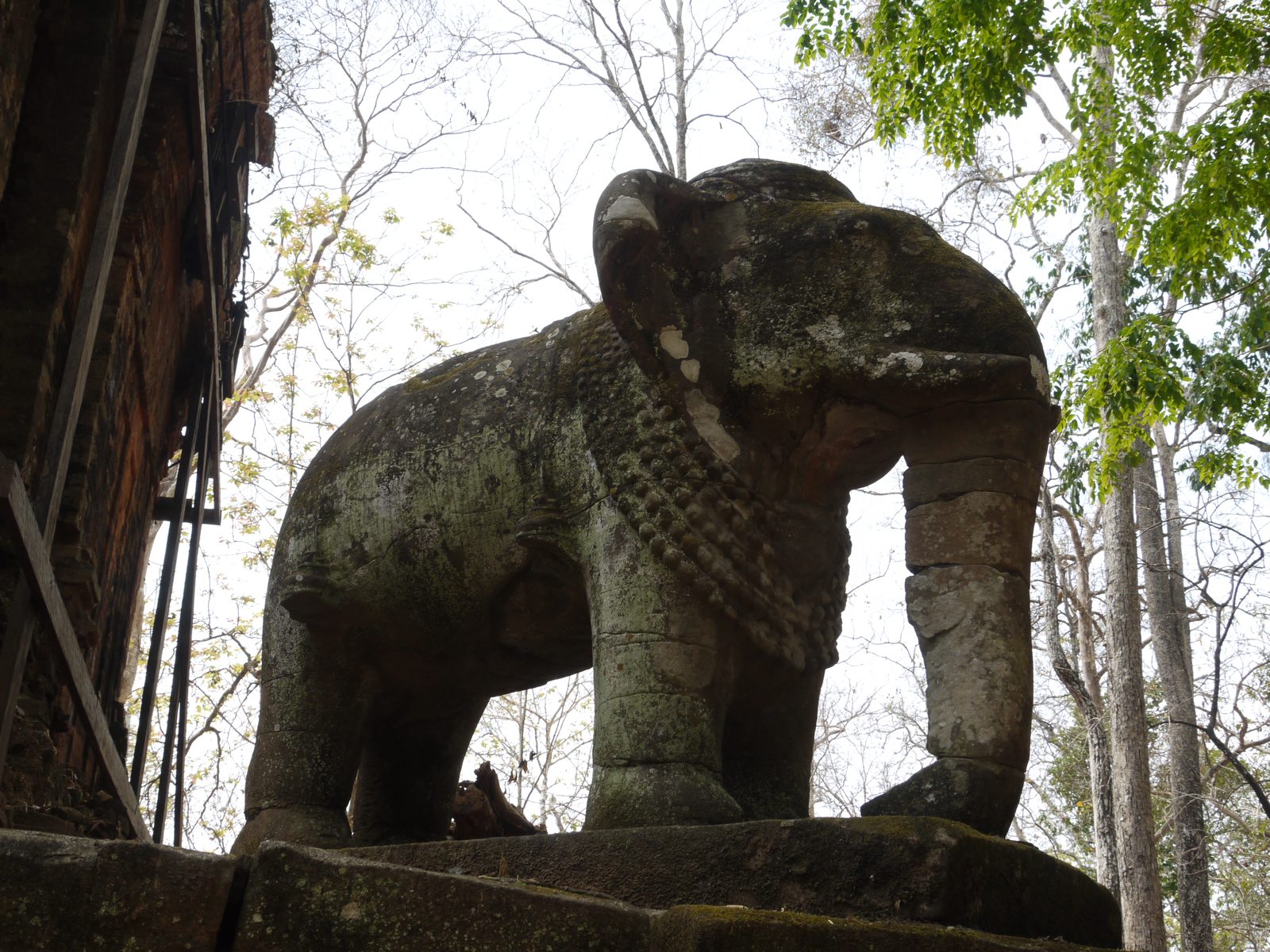 Stone elephant statue at Koh Ker temple